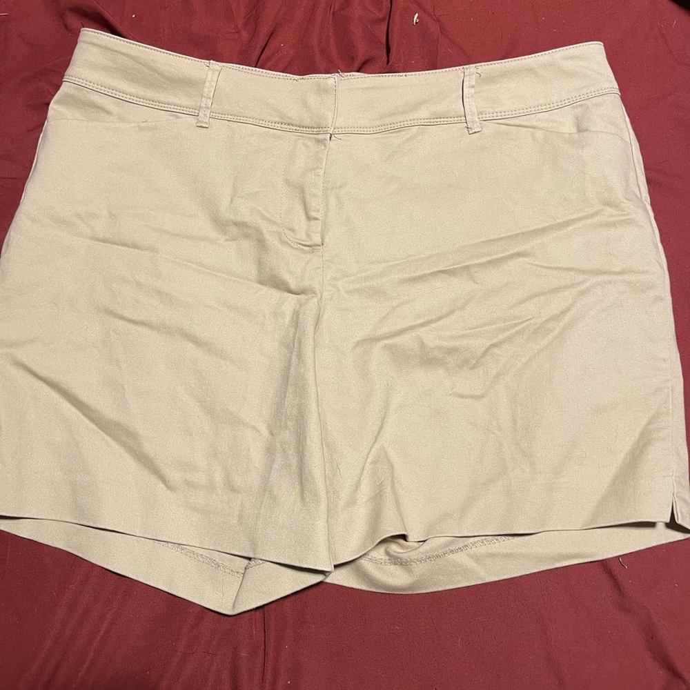 The Limited Bermuda shorts